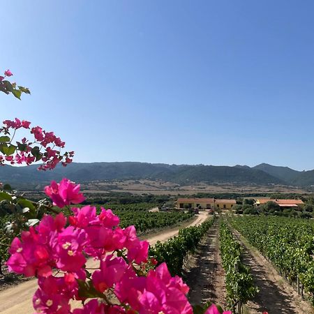 Agriturismo Campesi Casale Tra Le Vigne أغلينتو المظهر الخارجي الصورة