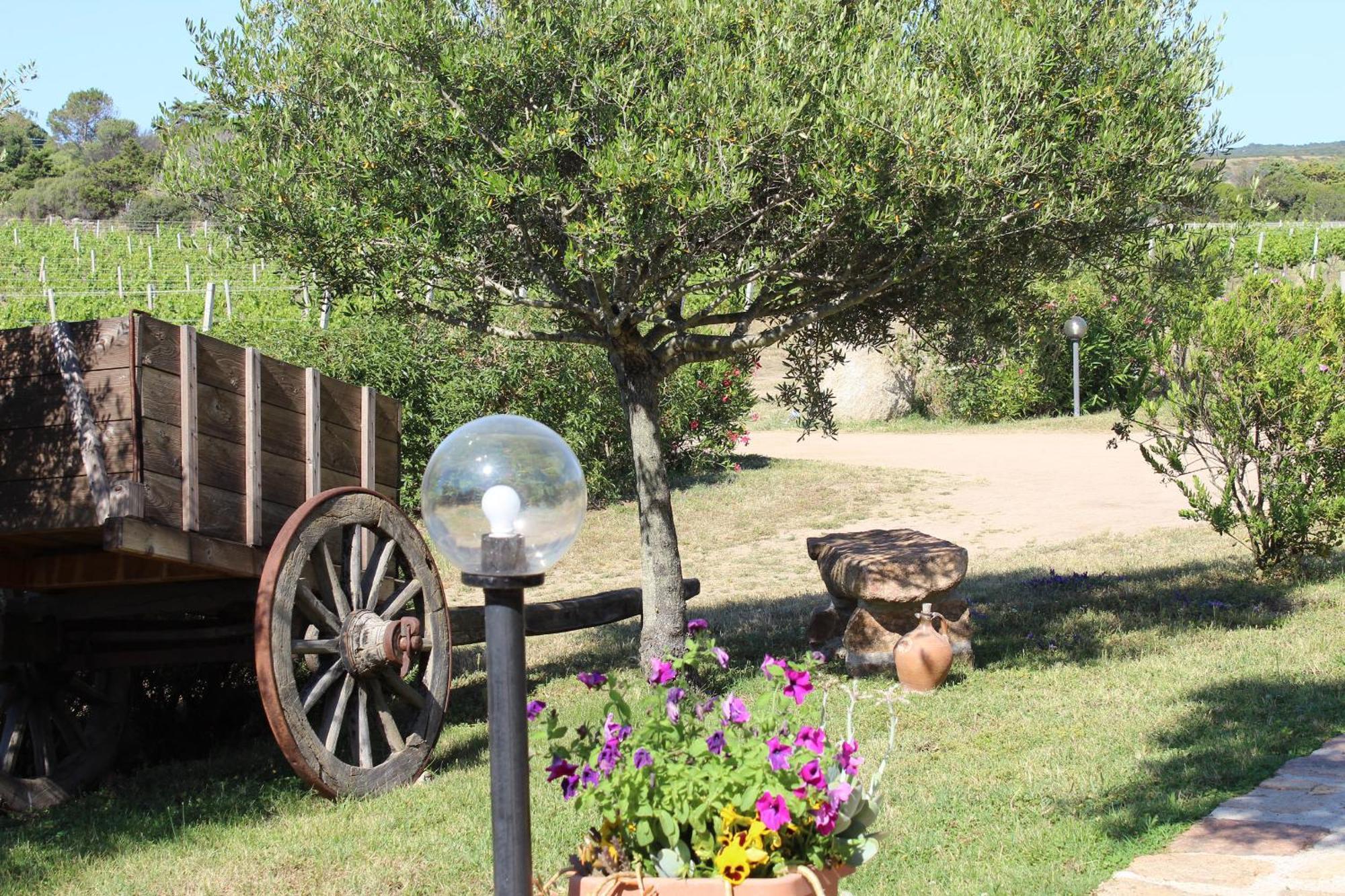 Agriturismo Campesi Casale Tra Le Vigne أغلينتو المظهر الخارجي الصورة