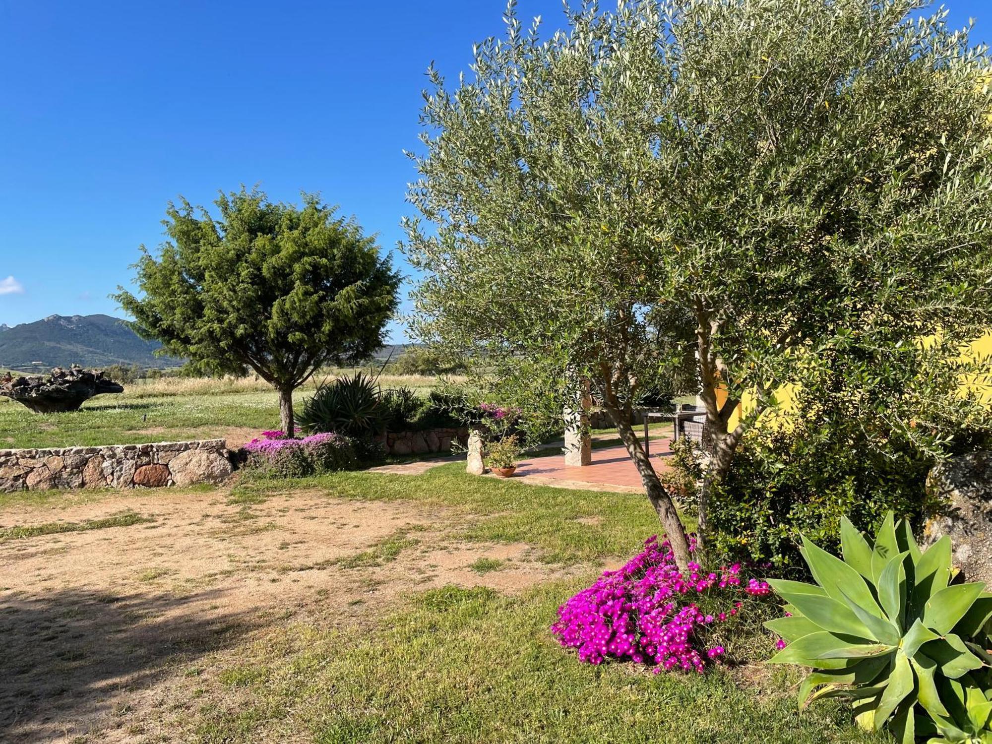 Agriturismo Campesi Casale Tra Le Vigne أغلينتو المظهر الخارجي الصورة