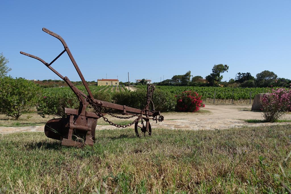 Agriturismo Campesi Casale Tra Le Vigne أغلينتو المظهر الخارجي الصورة