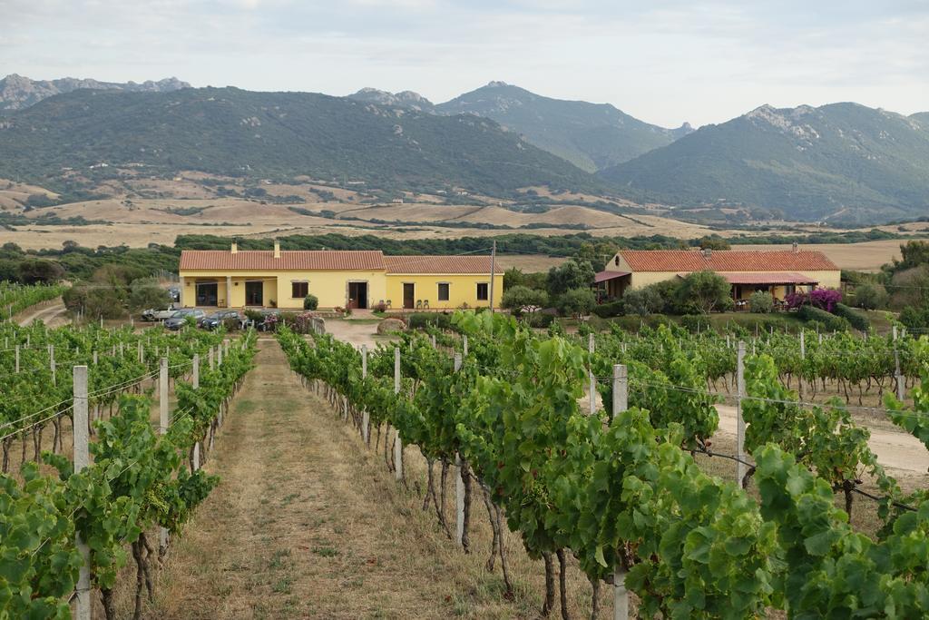 Agriturismo Campesi Casale Tra Le Vigne أغلينتو المظهر الخارجي الصورة