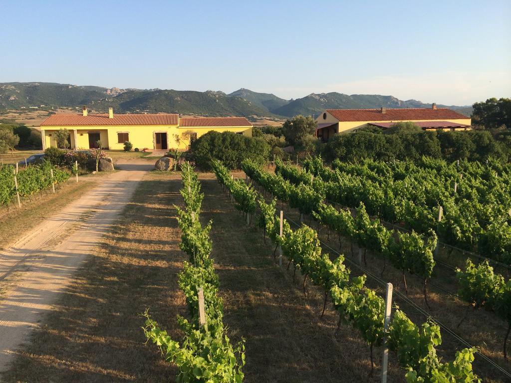 Agriturismo Campesi Casale Tra Le Vigne أغلينتو المظهر الخارجي الصورة