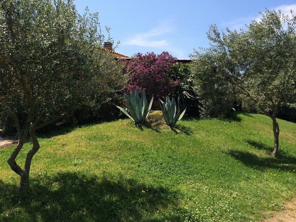 Agriturismo Campesi Casale Tra Le Vigne أغلينتو المظهر الخارجي الصورة