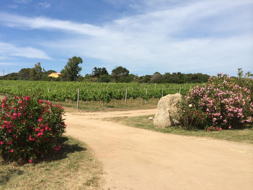 Agriturismo Campesi Casale Tra Le Vigne أغلينتو المظهر الخارجي الصورة
