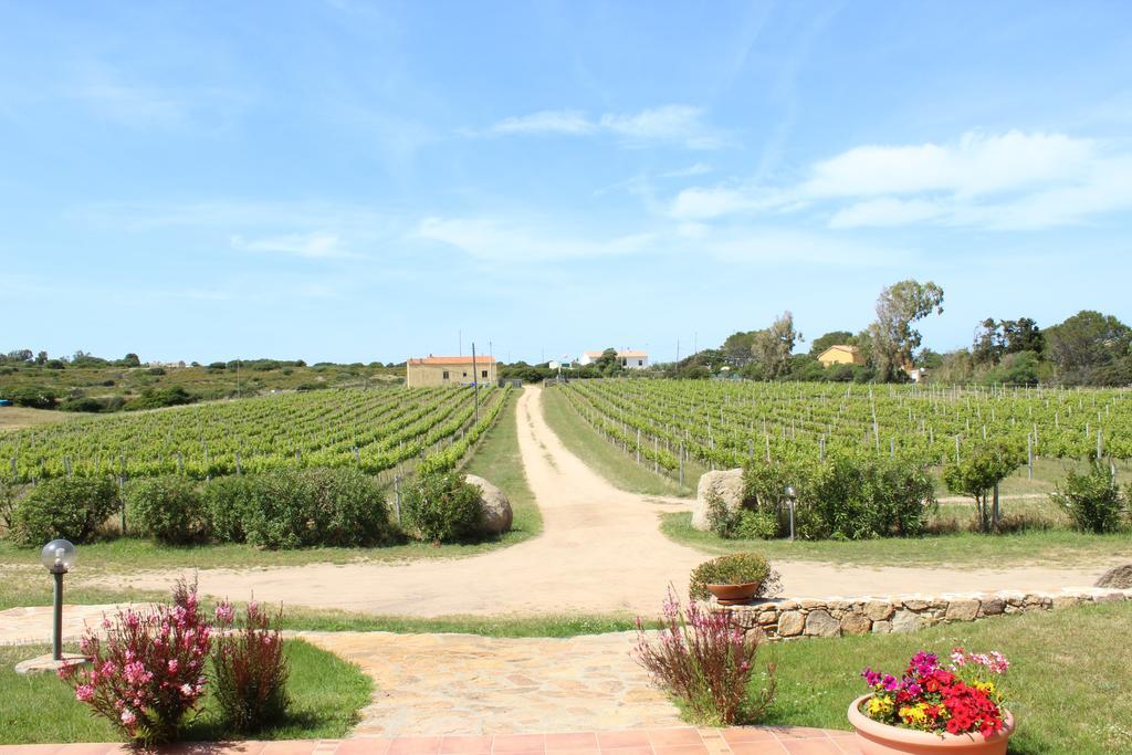 Agriturismo Campesi Casale Tra Le Vigne أغلينتو المظهر الخارجي الصورة
