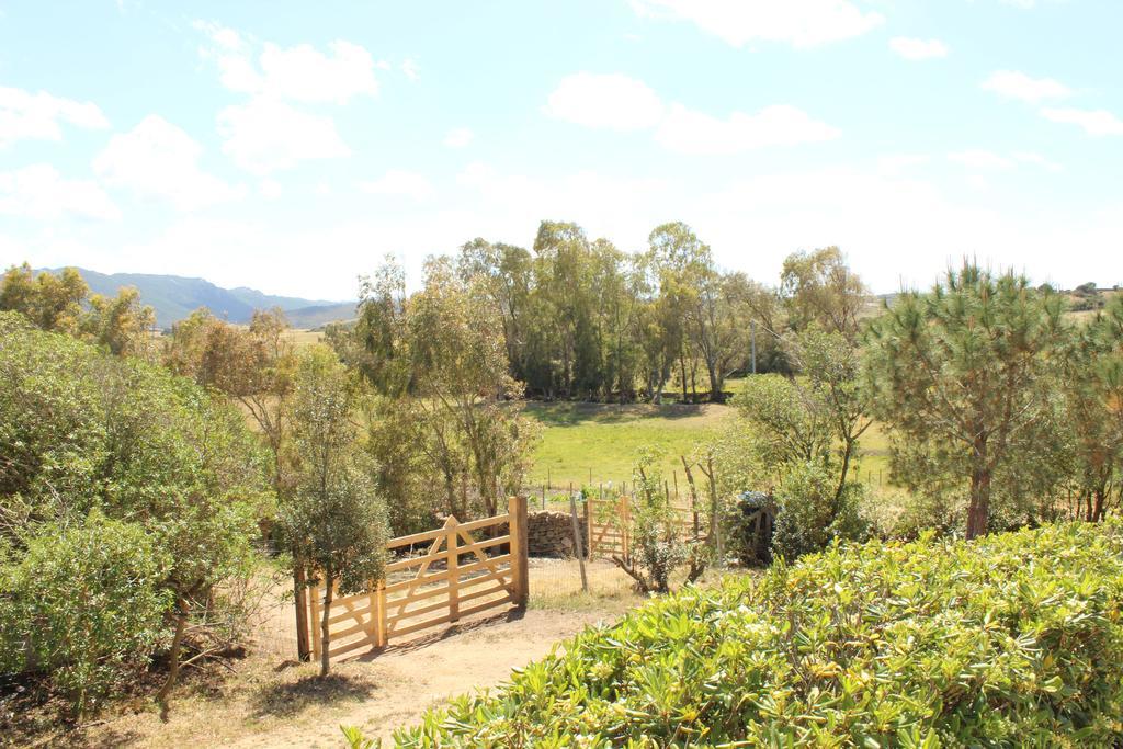 Agriturismo Campesi Casale Tra Le Vigne أغلينتو المظهر الخارجي الصورة