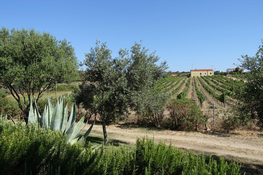 Agriturismo Campesi Casale Tra Le Vigne أغلينتو المظهر الخارجي الصورة