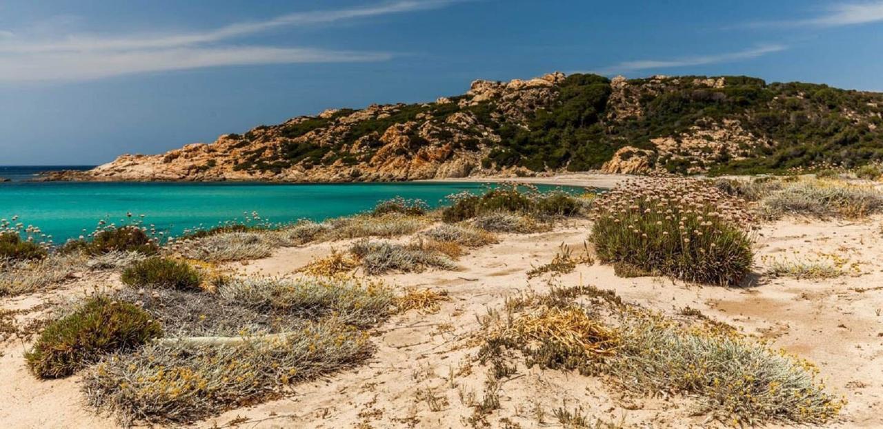 Agriturismo Campesi Casale Tra Le Vigne أغلينتو المظهر الخارجي الصورة