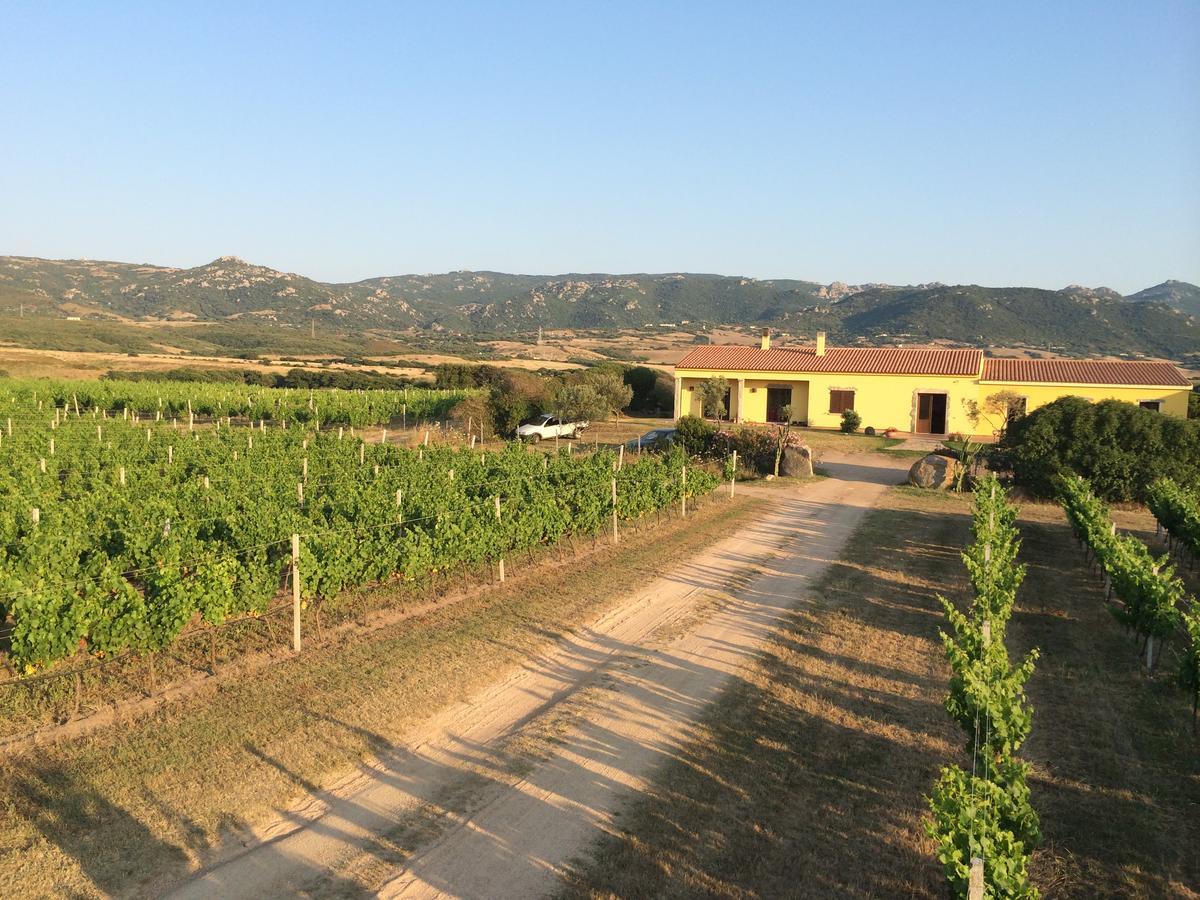 Agriturismo Campesi Casale Tra Le Vigne أغلينتو المظهر الخارجي الصورة