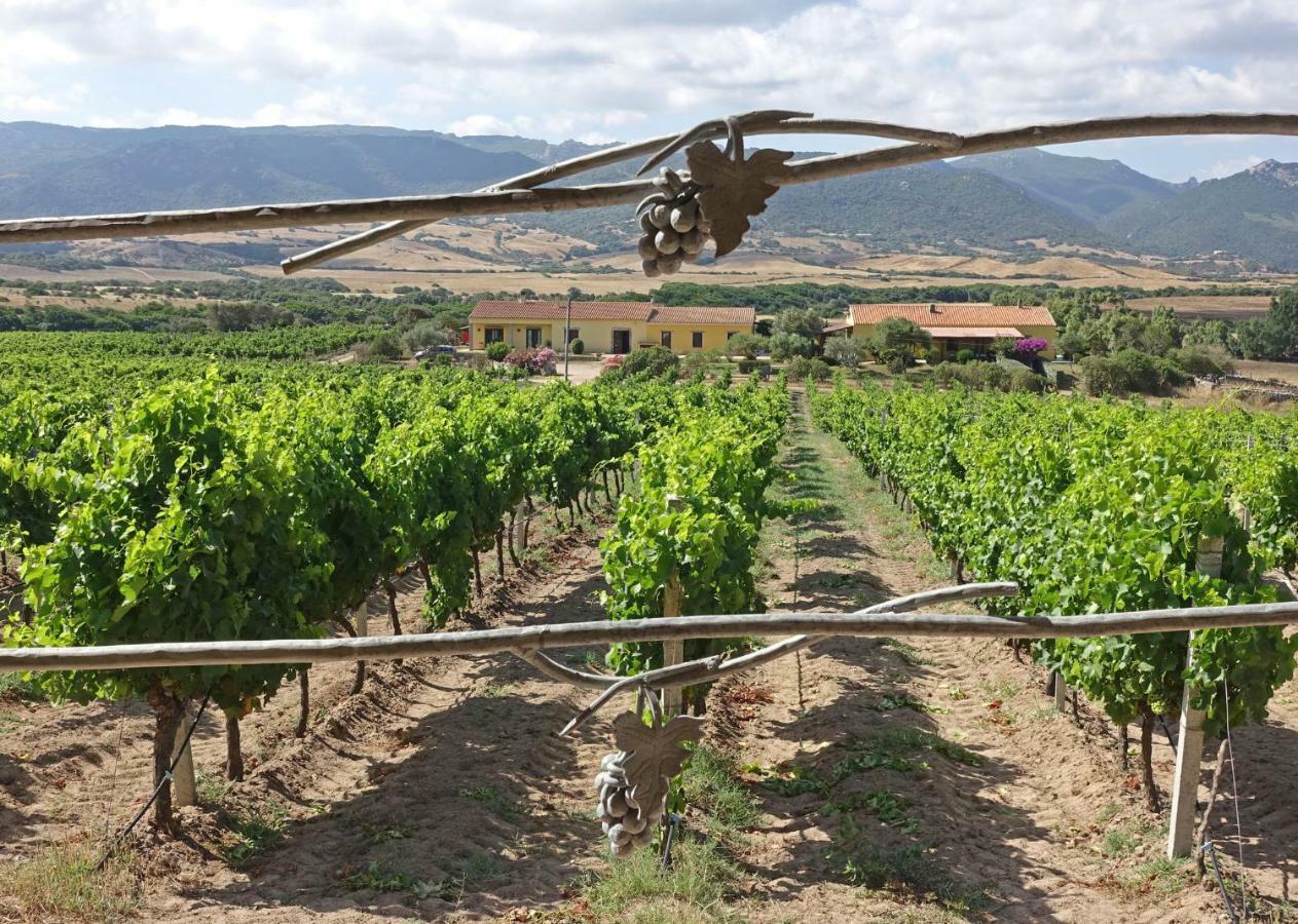 Agriturismo Campesi Casale Tra Le Vigne أغلينتو المظهر الخارجي الصورة