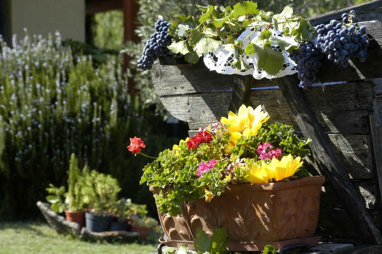 Agriturismo Campesi Casale Tra Le Vigne أغلينتو المظهر الخارجي الصورة
