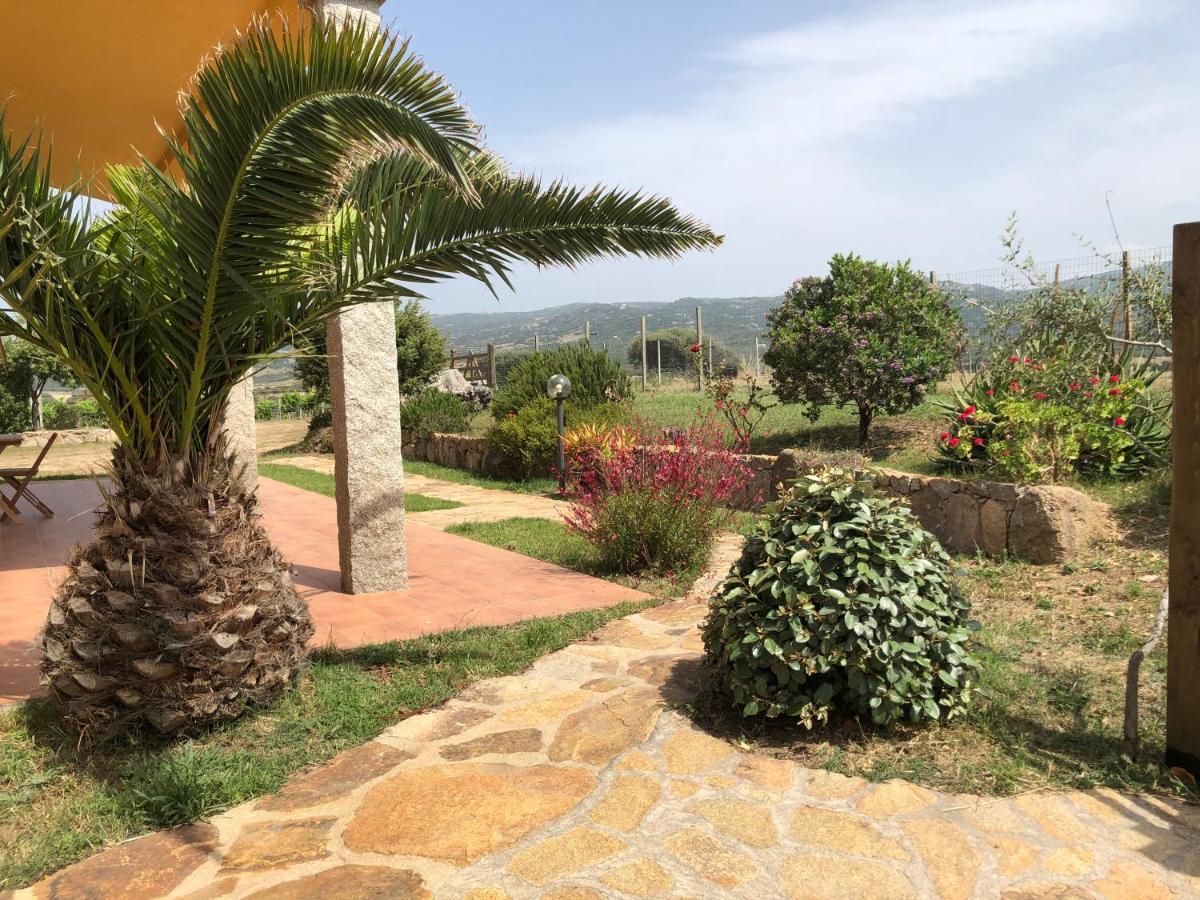 Agriturismo Campesi Casale Tra Le Vigne أغلينتو المظهر الخارجي الصورة