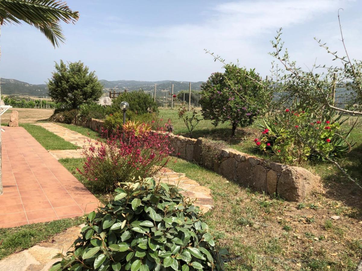 Agriturismo Campesi Casale Tra Le Vigne أغلينتو المظهر الخارجي الصورة